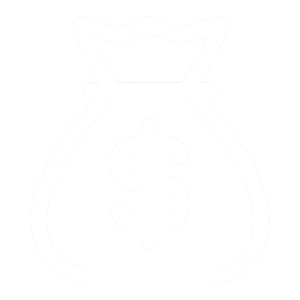 money bag icon